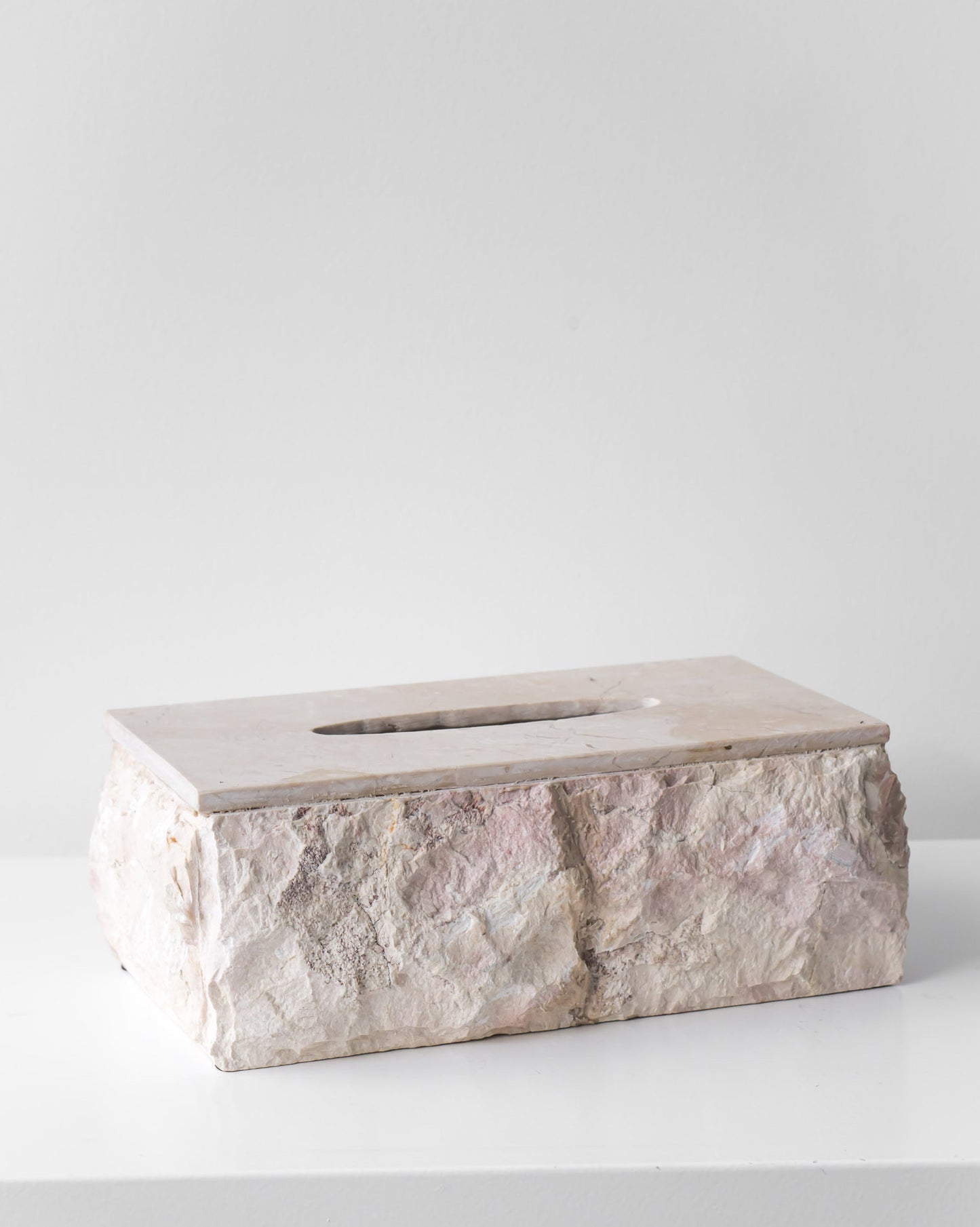 FOSSIL TISSUE BOX